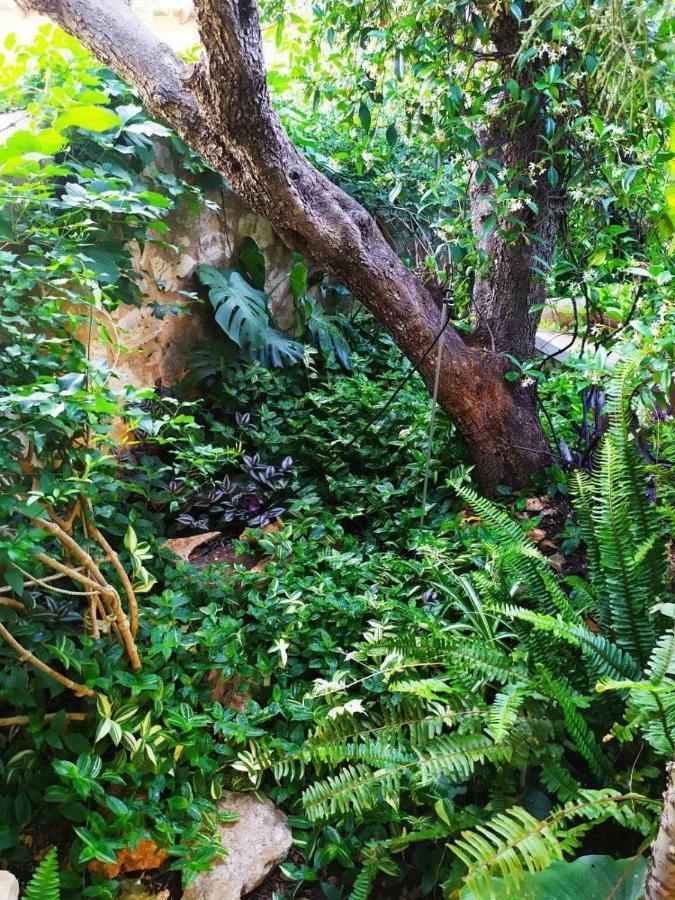 Olive Lemon Biophilic House & Lush Forest Garden วามอส ภายนอก รูปภาพ