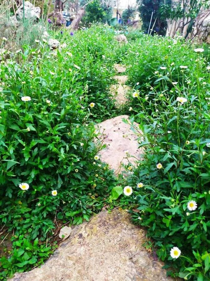 Olive Lemon Biophilic House & Lush Forest Garden วามอส ภายนอก รูปภาพ