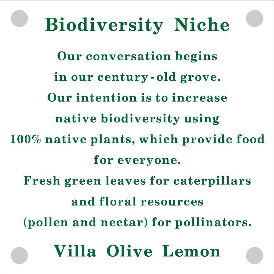 Olive Lemon Biophilic House & Lush Forest Garden วามอส ภายนอก รูปภาพ