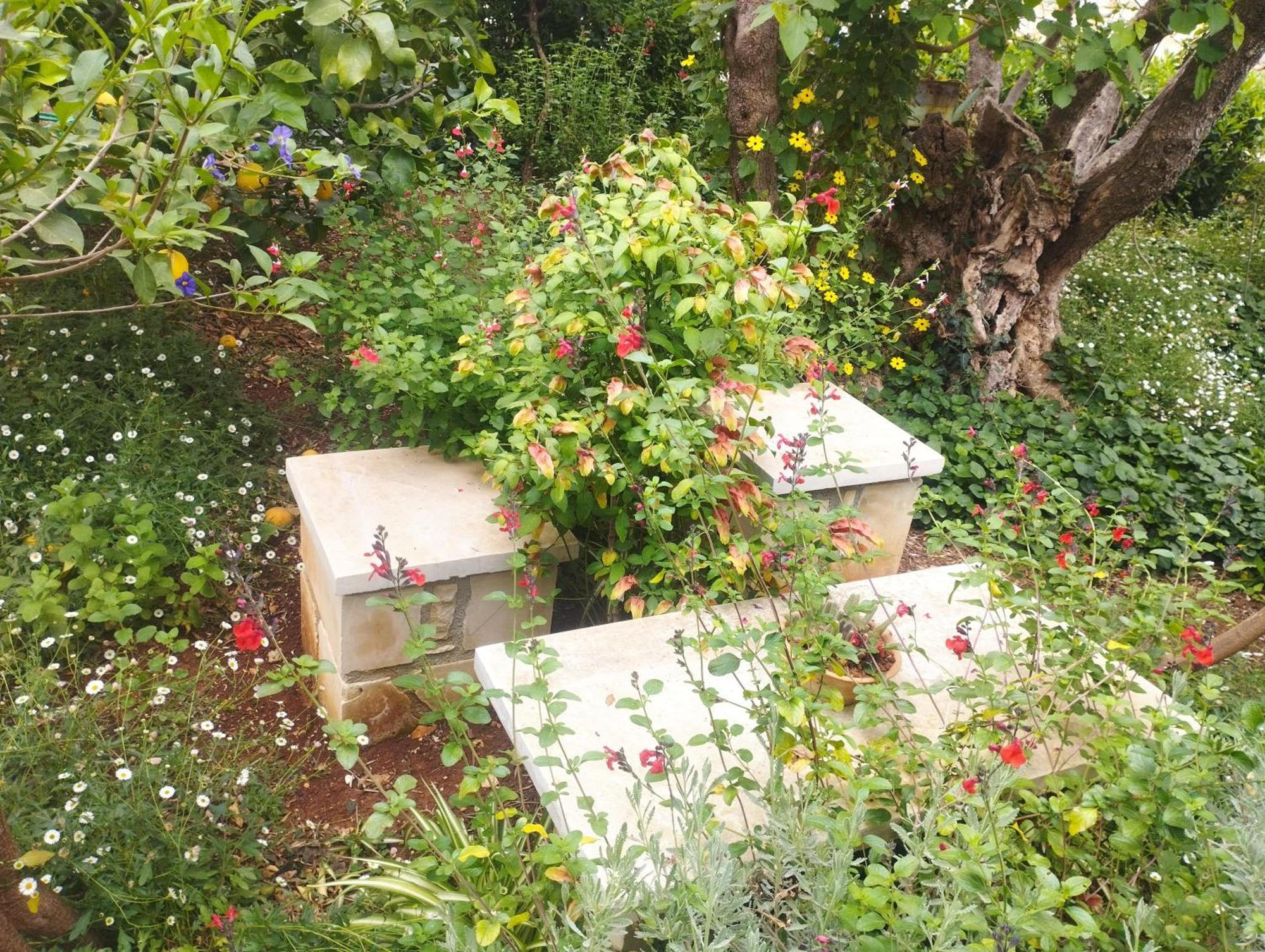 Olive Lemon Biophilic House & Lush Forest Garden วามอส ภายนอก รูปภาพ