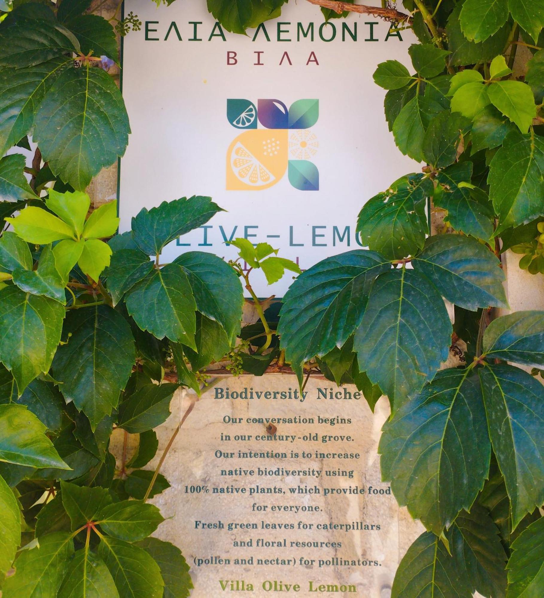 Olive Lemon Biophilic House & Lush Forest Garden วามอส ห้อง รูปภาพ